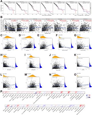 Glioma-associated oncogene homolog 1 in breast invasive carcinoma: a comprehensive bioinformatic analysis and experimental validation